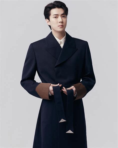 Dior sehun looks